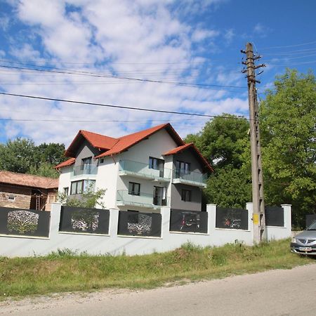 Pensiunea Albero Curtea de Argeş Buitenkant foto
